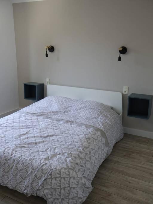 Spacieux Appartement Au Pied De La Cite Medievale Carcassonne Eksteriør billede