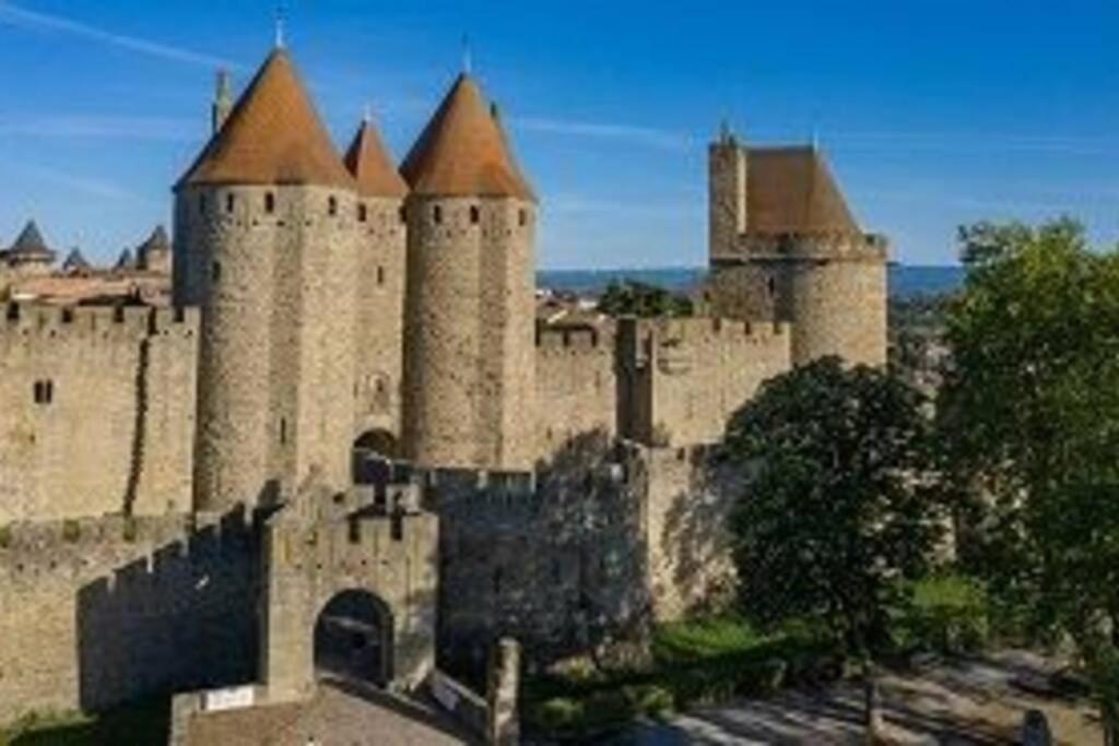 Spacieux Appartement Au Pied De La Cite Medievale Carcassonne Eksteriør billede